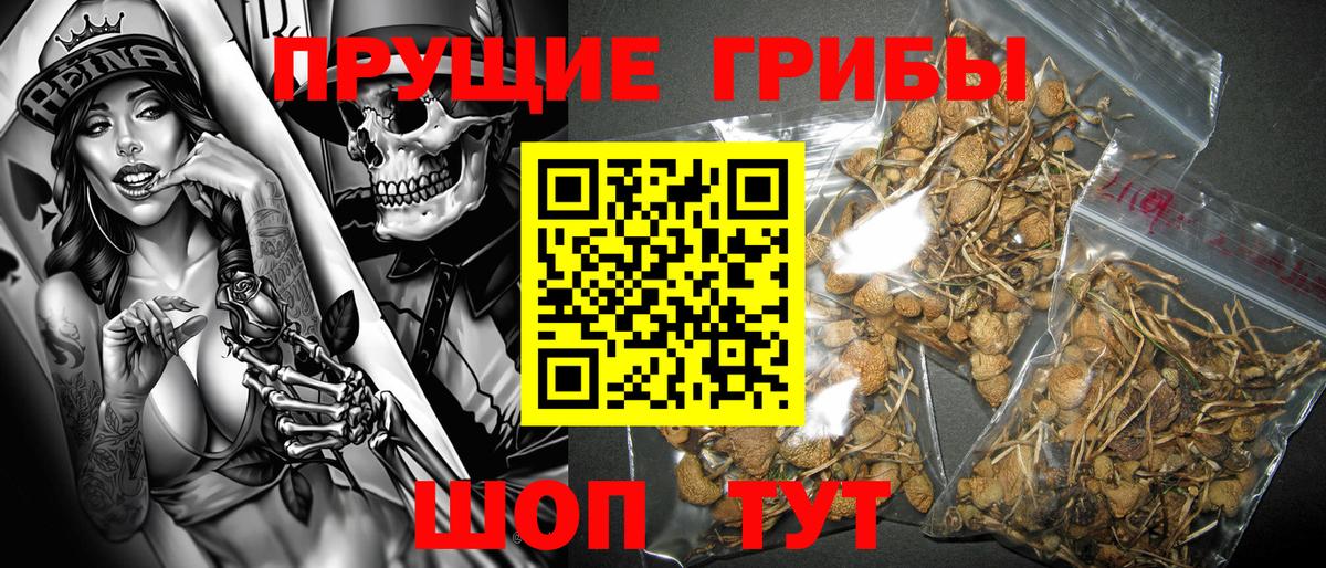 Псилоцибиновые грибы Magic Shrooms  Вход с VPN  Бутурлиновка 